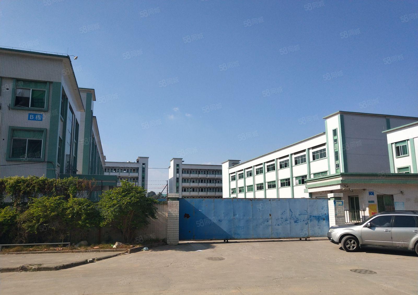 横沥镇独院标准厂房形象佳好办环评村委厂房20000平实际面积