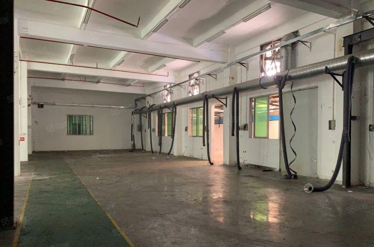 横沥镇原房东标准一楼5,5米高1000平厂房出租，有现成环评