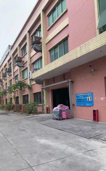 横沥镇6000平现成办公室装修水电齐全标准独院厂房出租