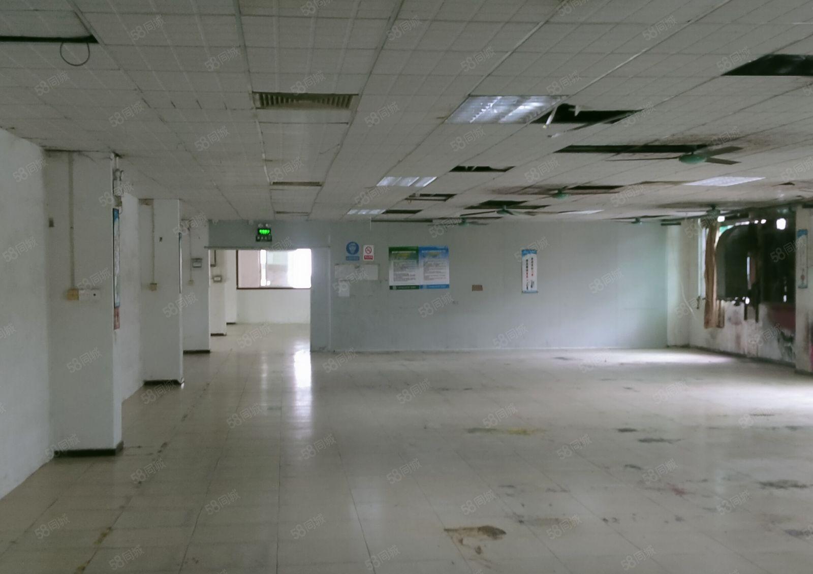 横沥镇模具城附近出租独院标准厂房，交通方便空地大，形象超好