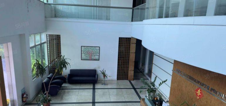 12元出租原房东独院厂房带红本带注塑环评滴水8米可整租可分租