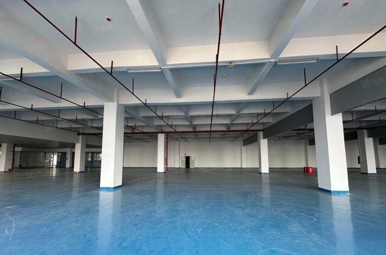 东莞横沥300至4万平精装修钢构无尘车间低价厂房仓库空地出租