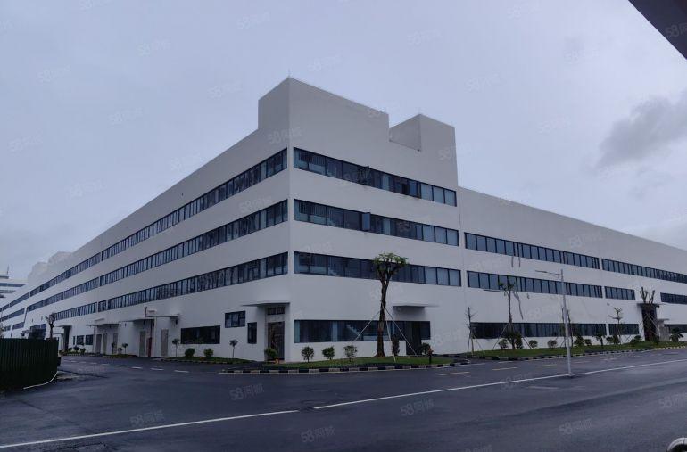 横沥镇模具城原房东厂房出租高度15米可分租带牛角位