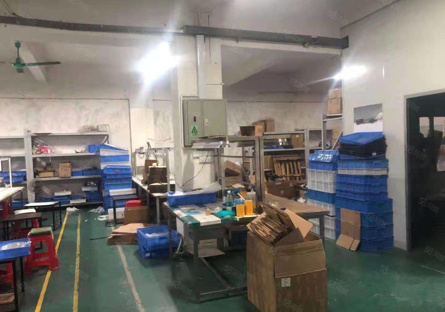 急租，横沥三江工业区新出标准一楼1600平方厂房出租，带牛角