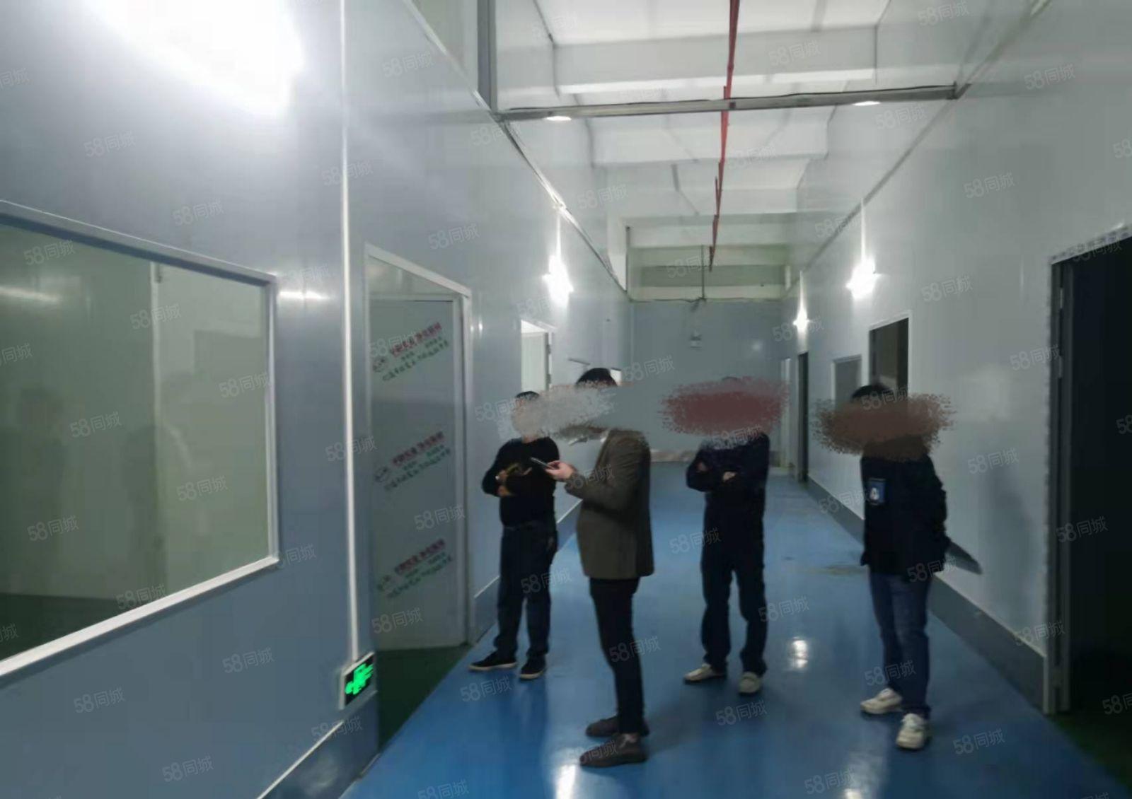 横沥镇新出一楼1500平带地坪漆 交通方便好招工低价厂房出租