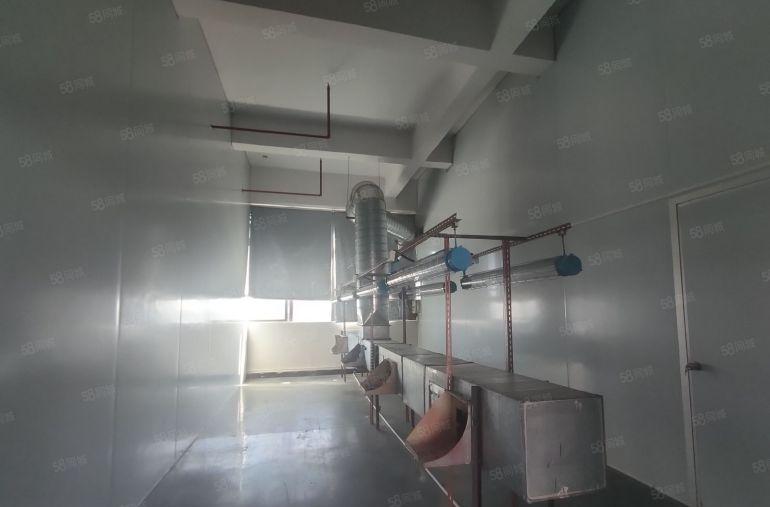 横沥镇原房东标准厂房出租精装修现成玩具喷油环评设备免费用