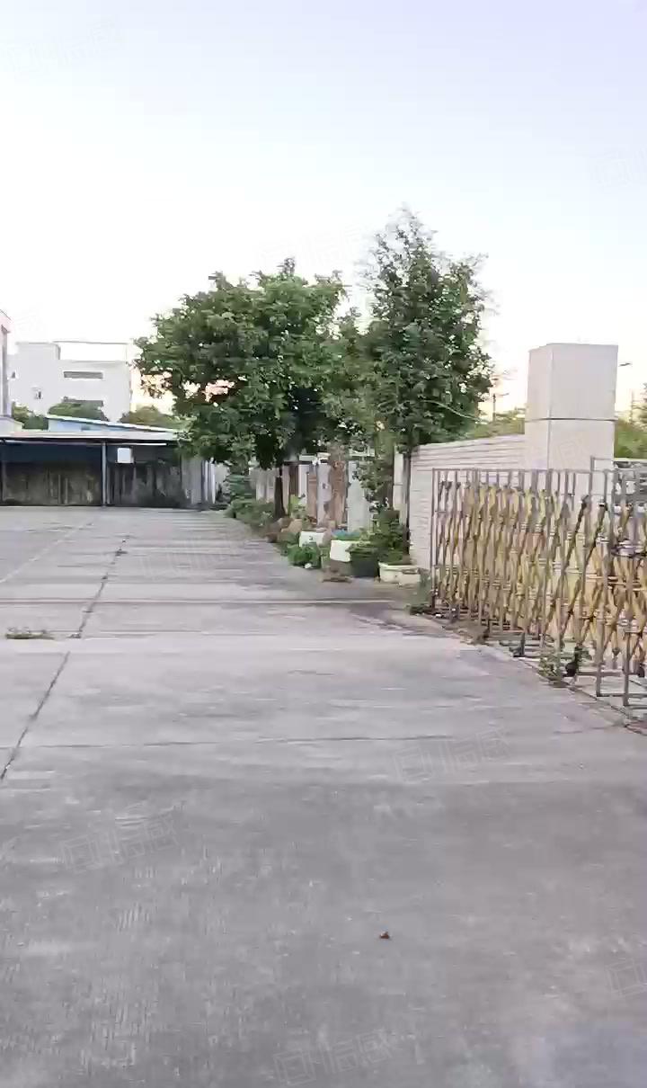 横沥镇新出原房东经典独院厂房出租上市公司形象现成办公室