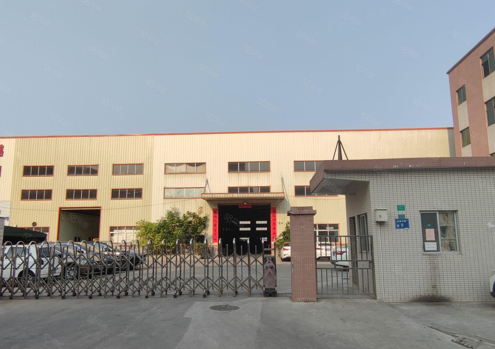 横沥镇三江工业区原房东独门独院五千平方钢结构单一层12米低价