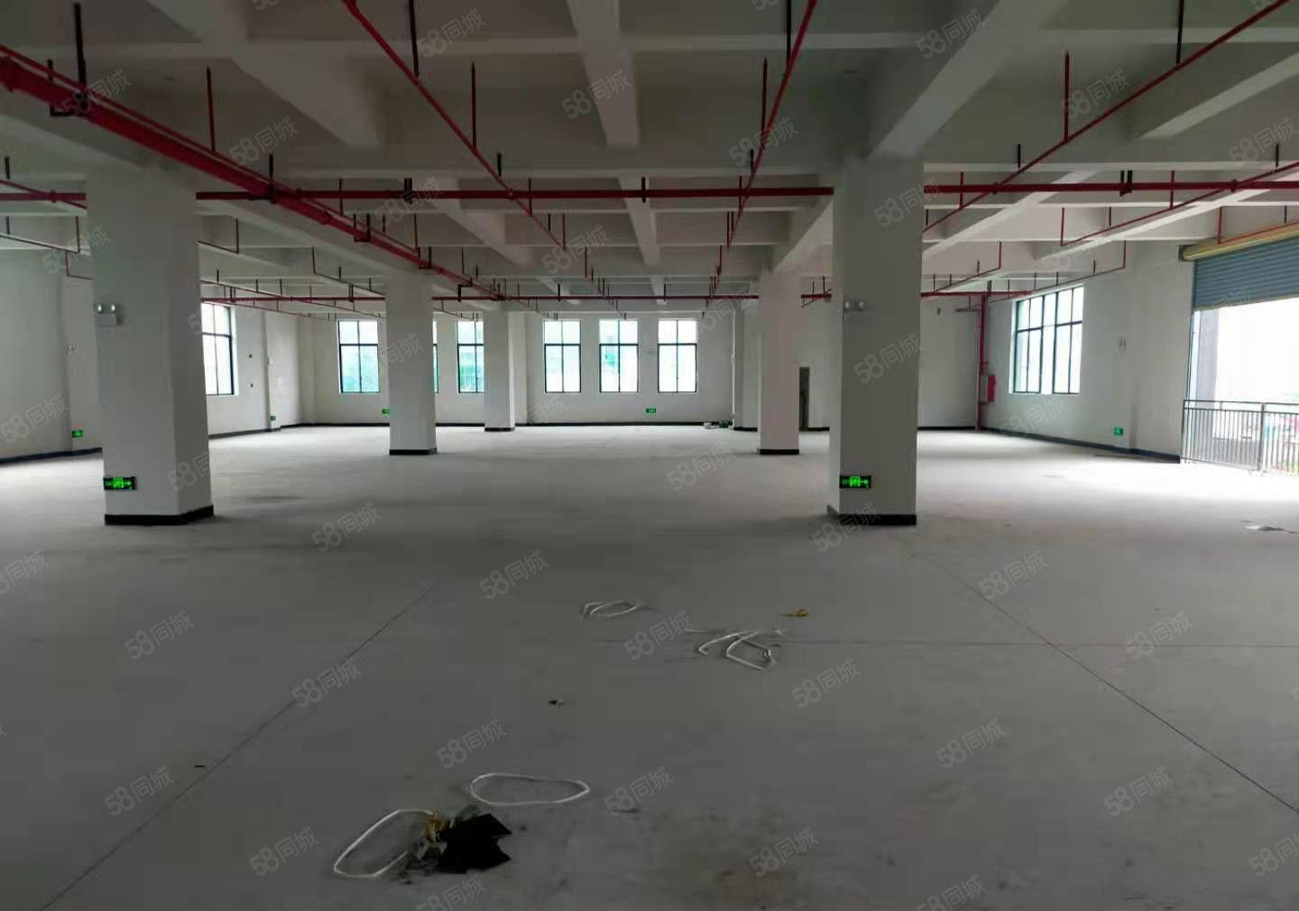 横沥镇三江工业区旁边新建标准厂房出租，喷淋消防，空地超大！