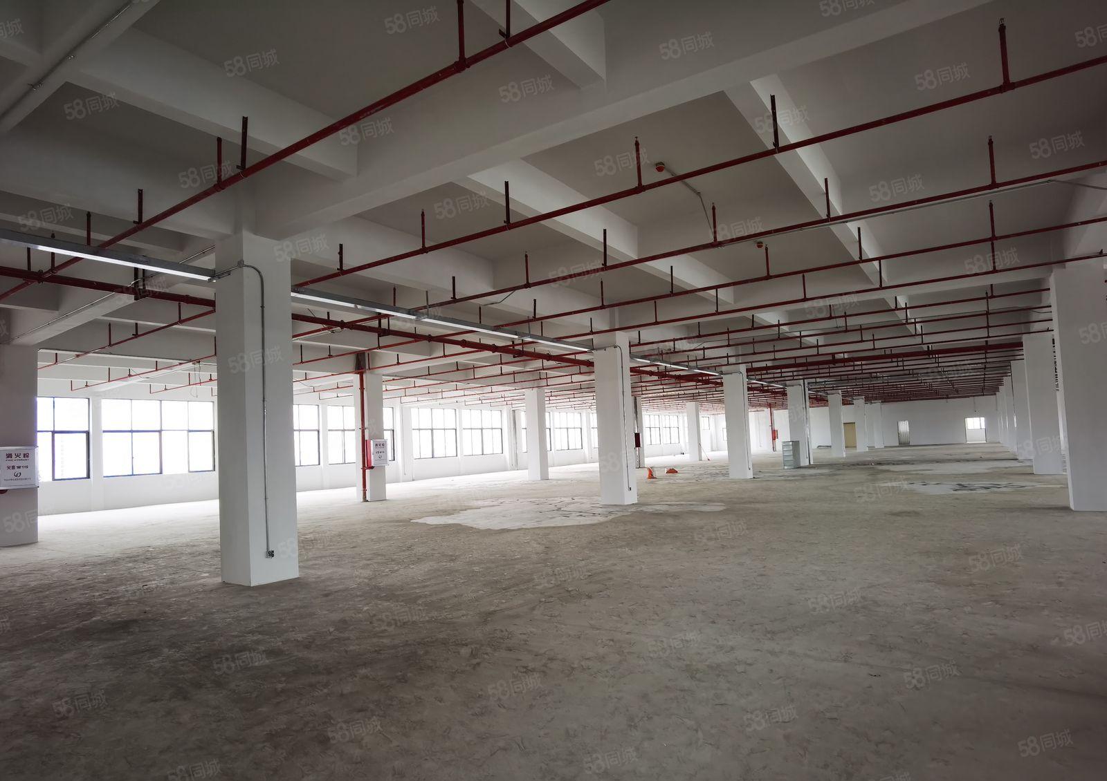 横沥西城工业区独院厂房8550平方出租可分租可办环评价格优惠