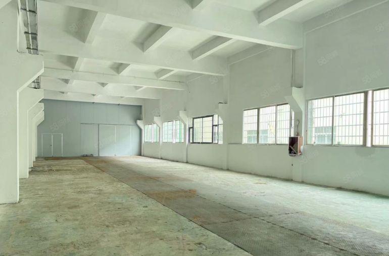 横沥镇东部快速干线边上厂房一楼1350平方出租精装修可办环评