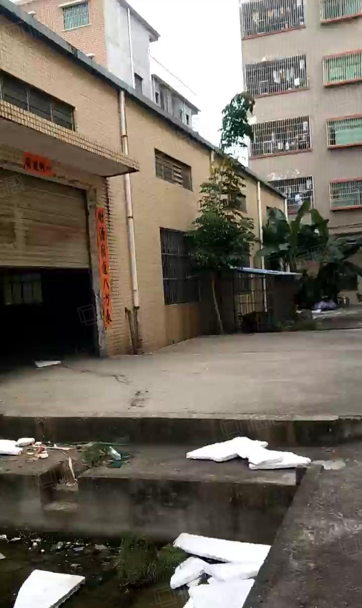 横沥镇独院钢构2680平自带卸货平台 低价厂房出租