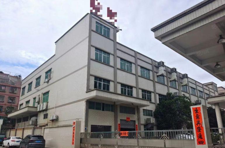 横沥镇靠茶山原房东独院厂房9000平低价直招