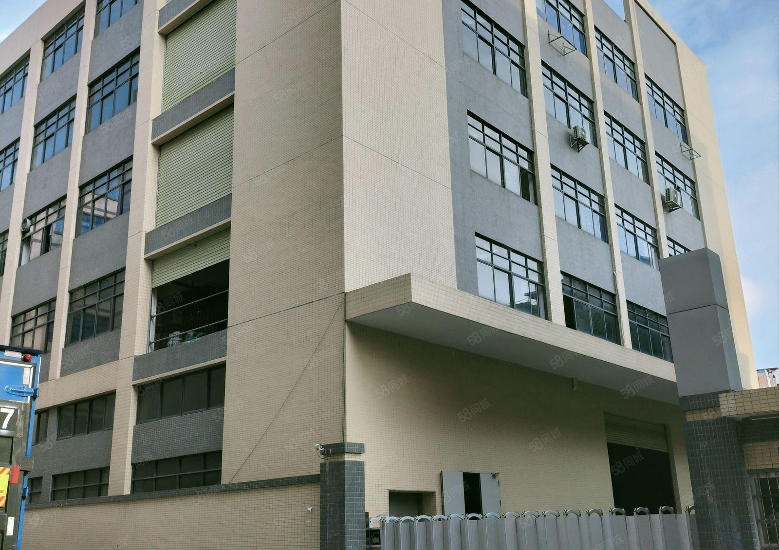 横沥镇独院标准厂房楼上一千平方精装修出租