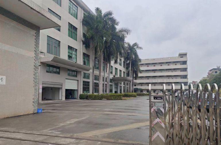 10元出租大朗镇原房东实际面积独院厂房8000平方带无尘车间