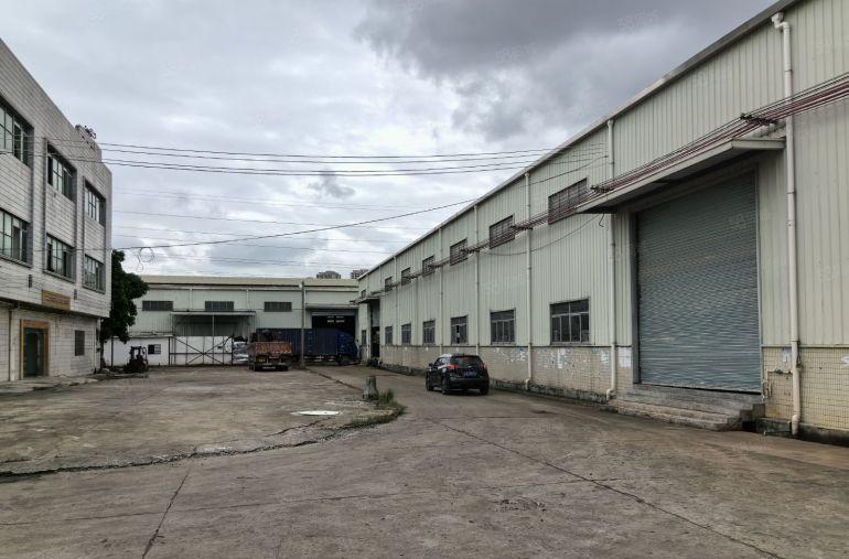 横沥原房东重工业钢构滴水10米高5000平厂房低价厂房，可分