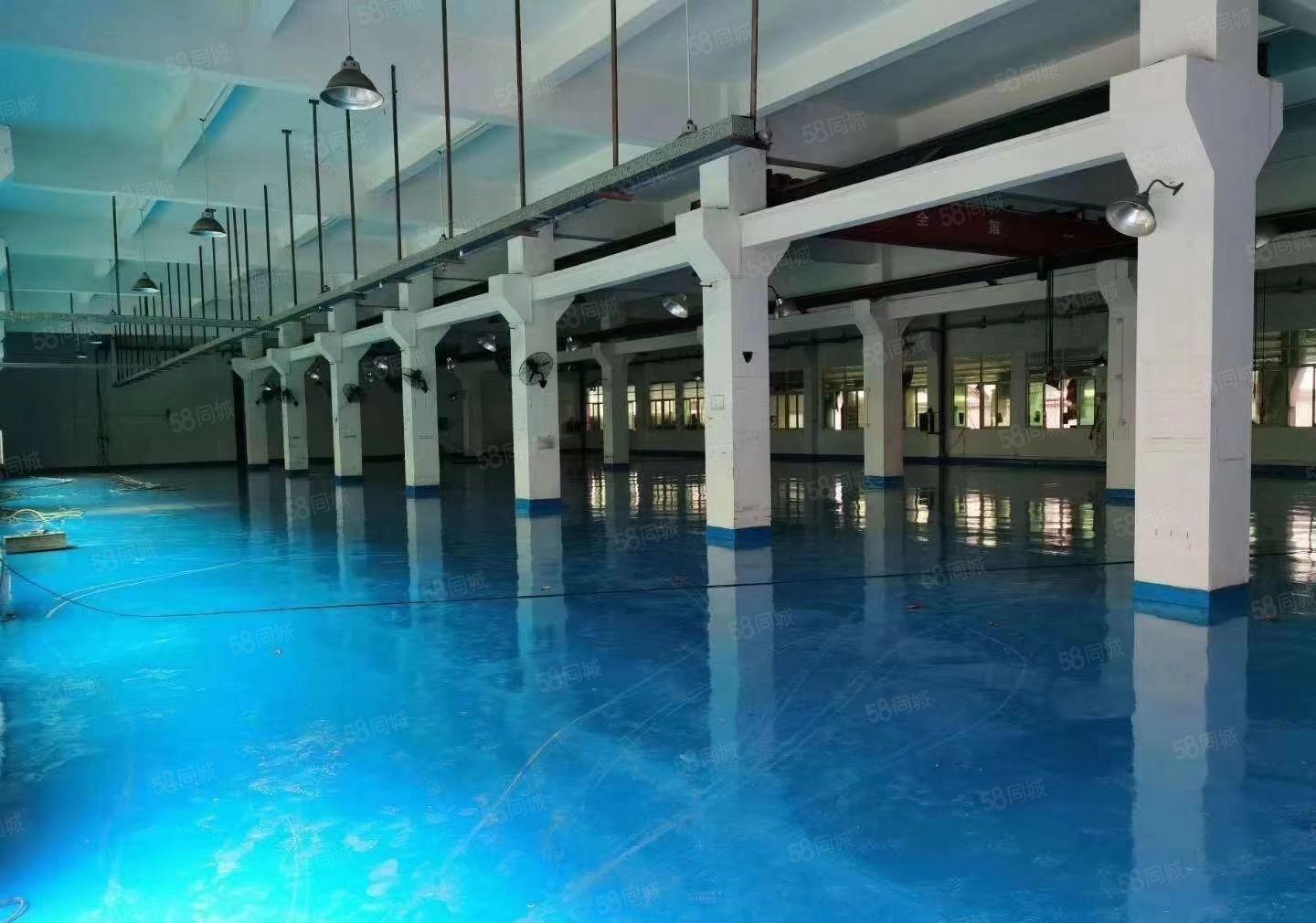 横沥镇三江工业区厂房出租一楼1000平方高6米带装修可办环评