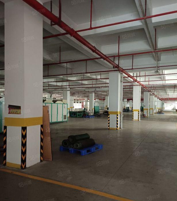 沙田新出原房东上市公司形象独栋厂房22680方