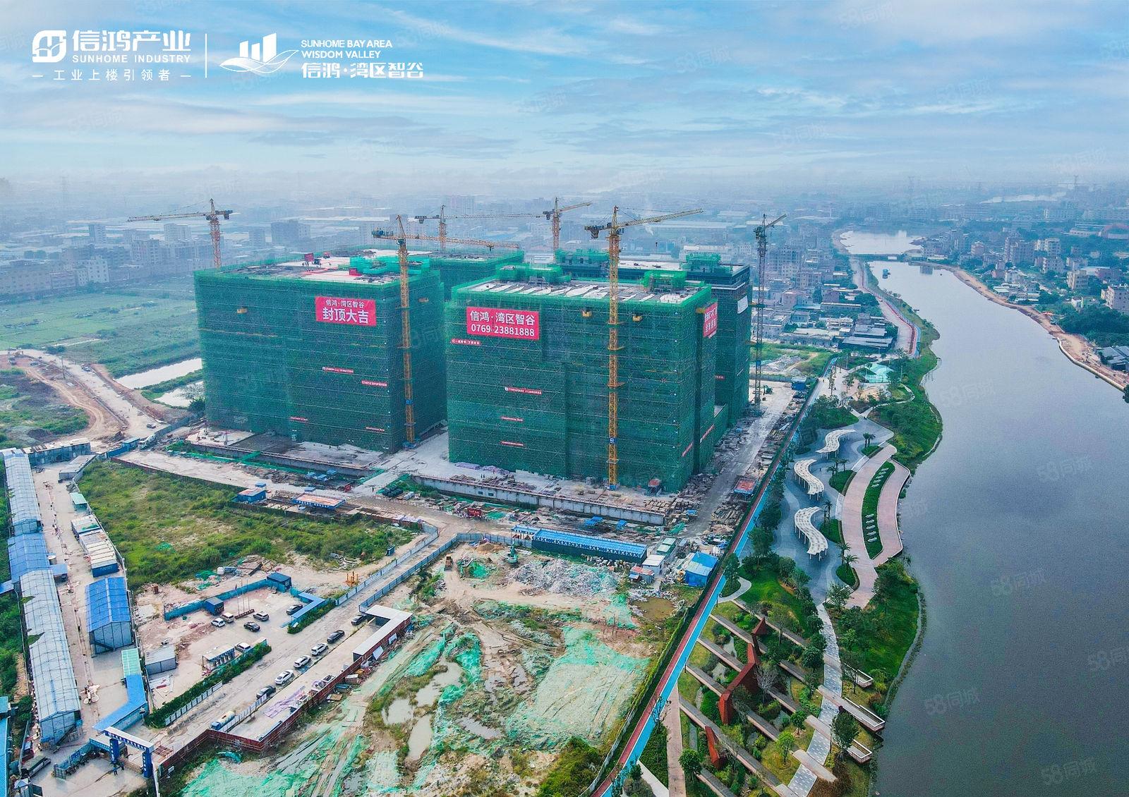 信鸿湾区智谷滨海湾全新厂房开发商直租均价20元月