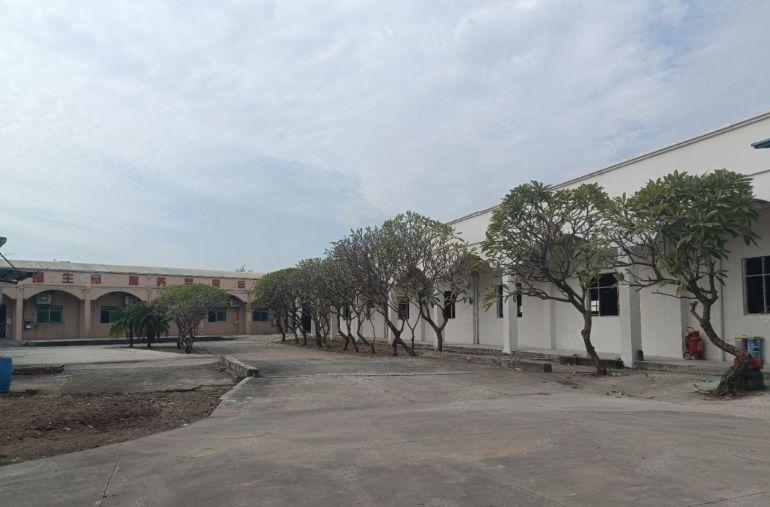 原房东独院单一层钢构，空地大免费使用，大小车随意进出，形象好