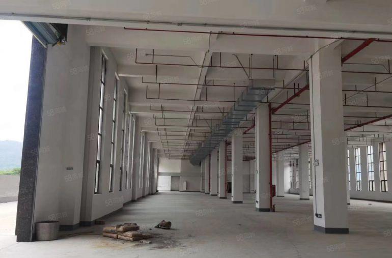 沙田镇原房东直租厂房约13万平方米，看厂房请联系阿福。