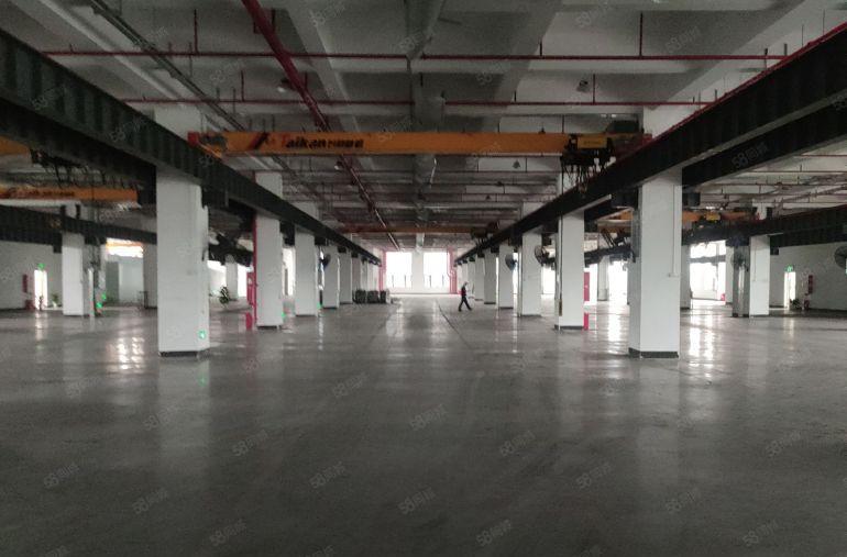 东莞沿江高速口原房东二楼6100方重工业厂房出租到顶6米