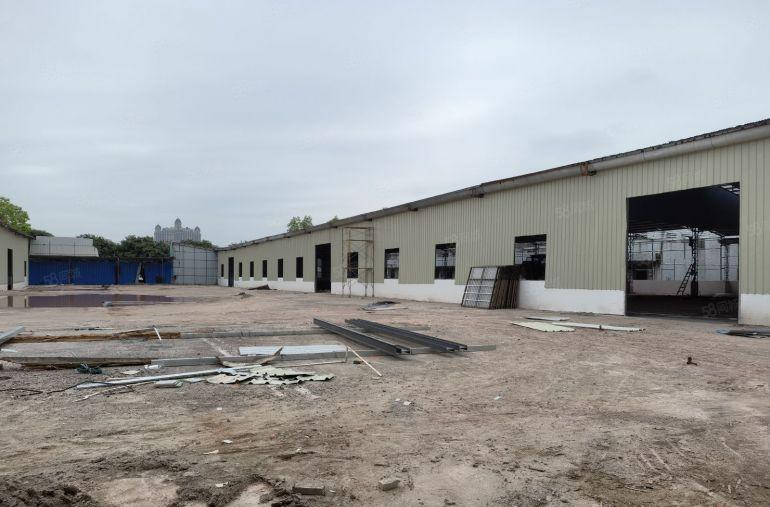 沙田阇西园区单一层厂房低价出租超大空地国有红本工业用地