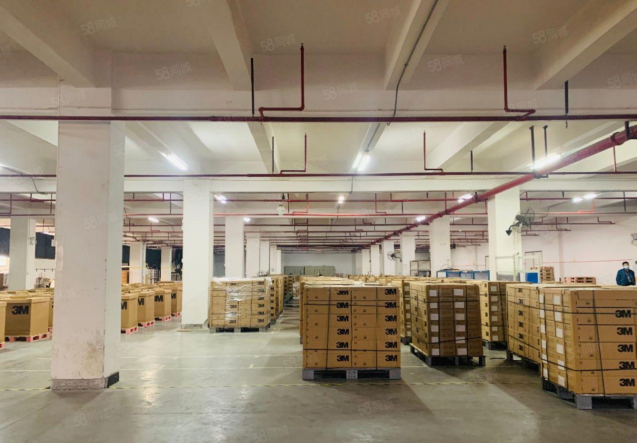 出租|大岭山工业区无尘车间4500平方低价厂房出租，豪华装修