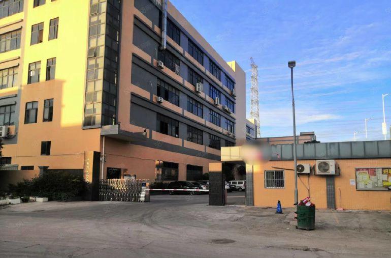 沙田厂房出租，一楼1100平方四楼2300平方