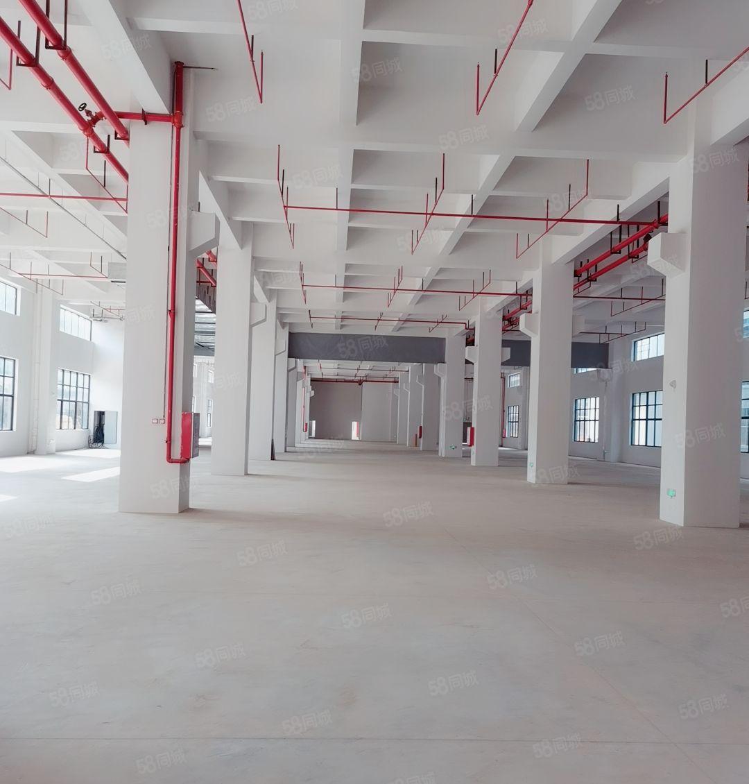 沙田6000平方独院厂房 出租1000平方起分可办环评