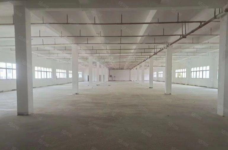 沙田独门独院全新厂房，空地大交通好！