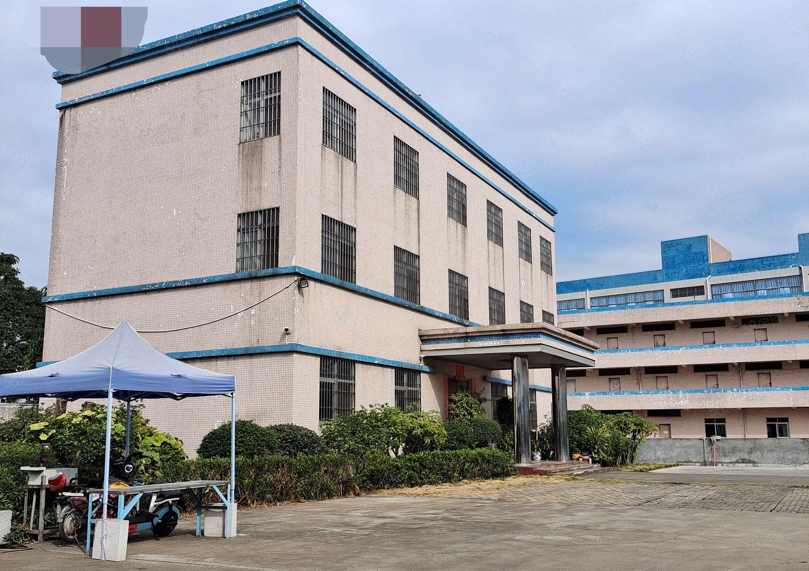 沙田靠厚街单一层独院6800方原房东实际面积，高9米可办环评