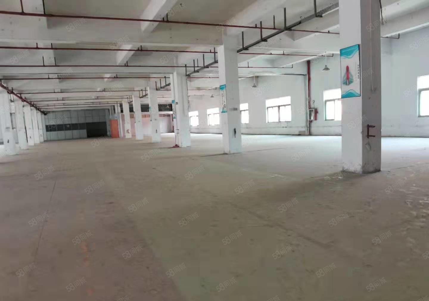 沙田标准厂房工业园招租，上市公司形象