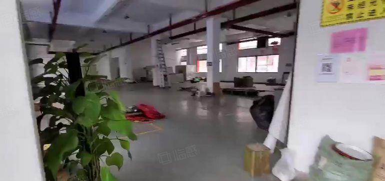 沙田西太隆标准厂房一楼1000平带行车装修靠厚街虎门