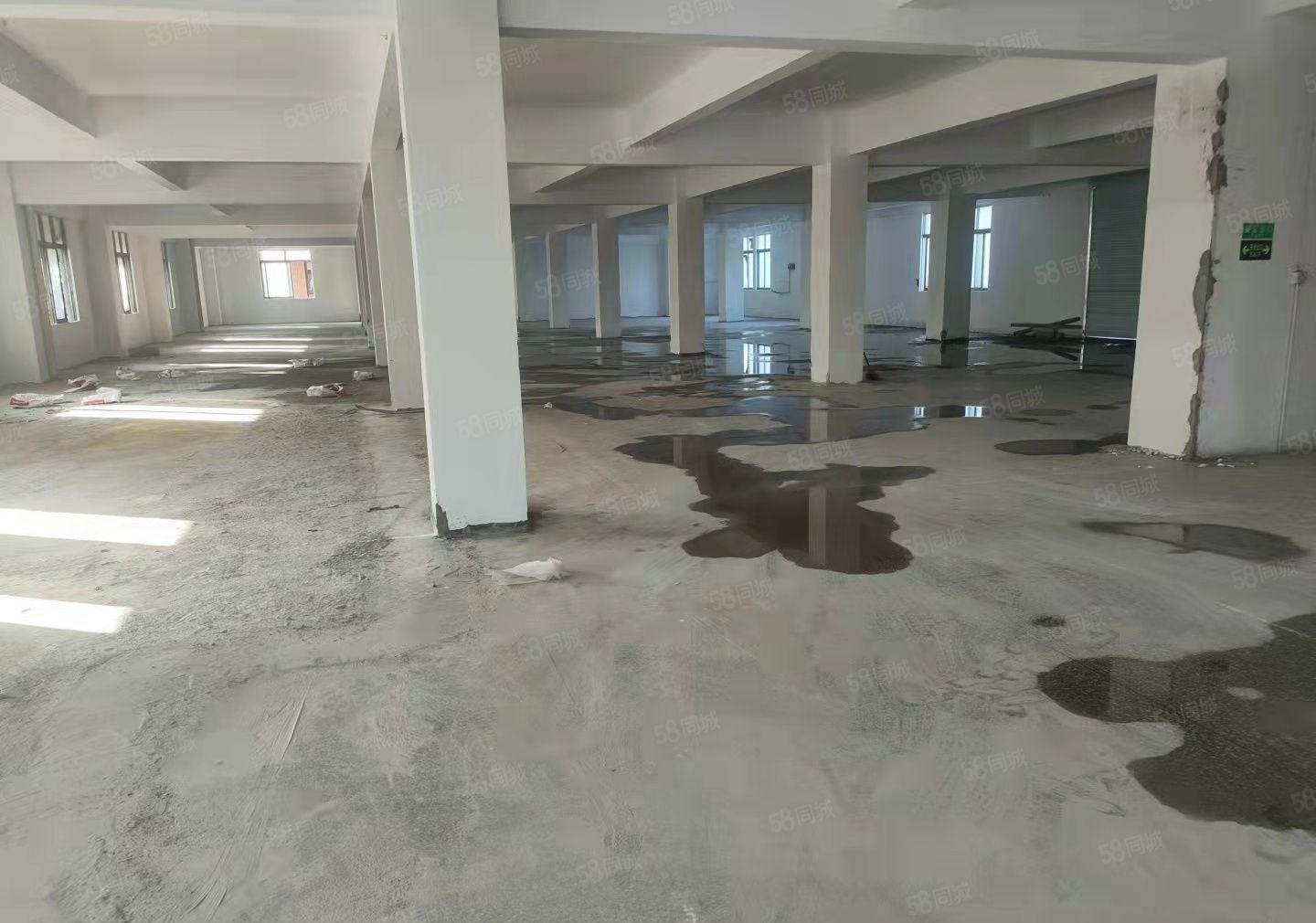 新出独门独户，低价格，交通方便