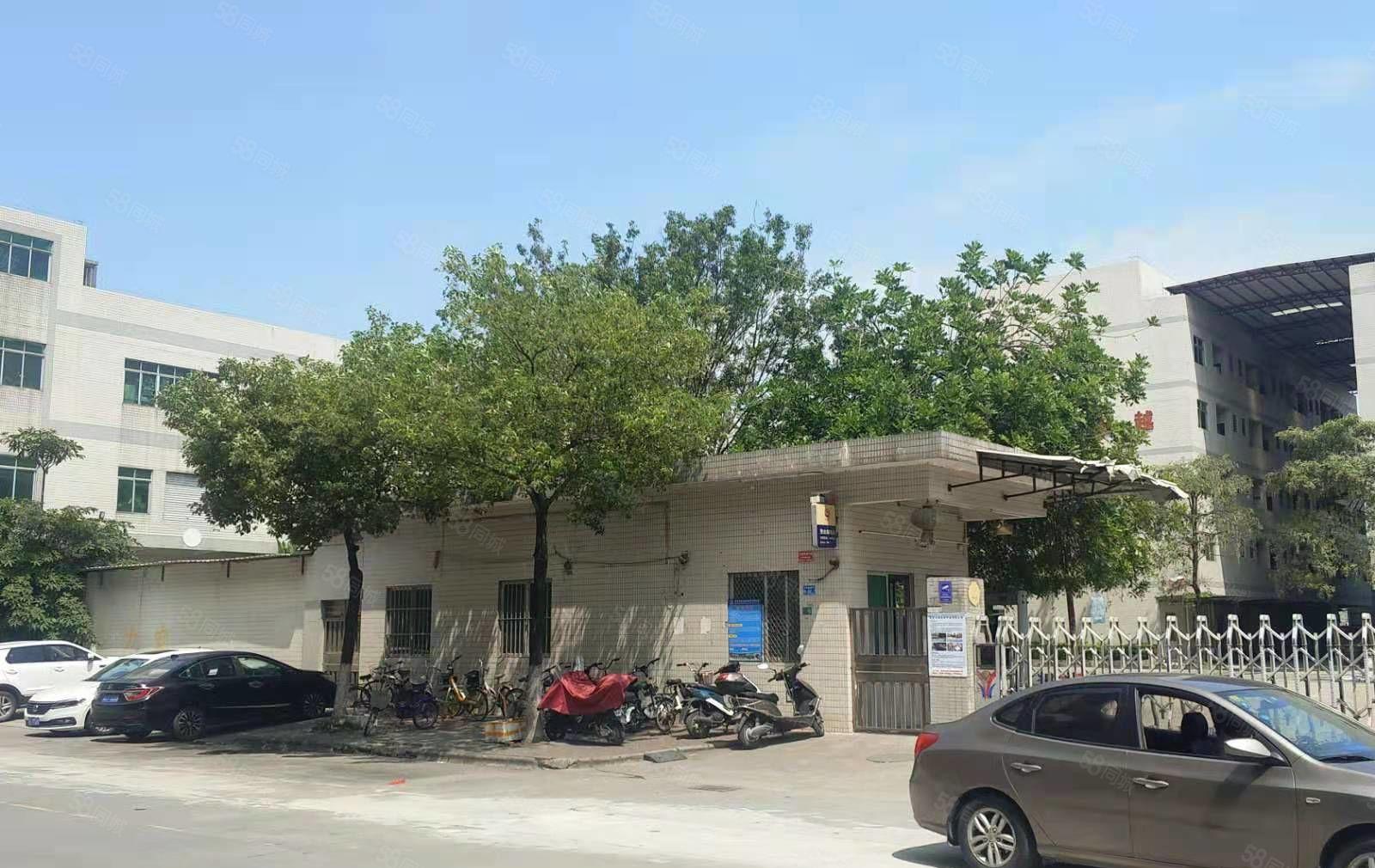 沙田镇新出一楼2000平原房东钢构厂房，空地大，好进大车出租