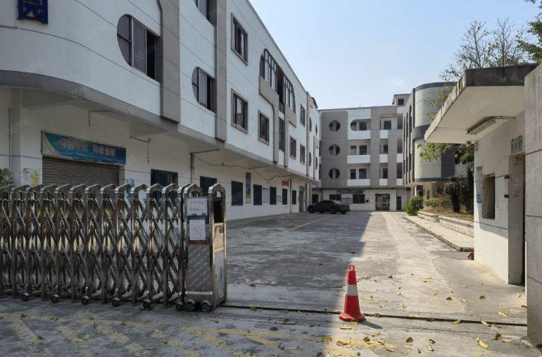 沙田镇杨公洲原房东精装办公 现成水电 独院厂房出租