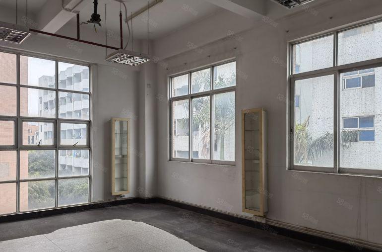 沙田镇杨公洲原房东精装办公 现成水电 独院厂房出租