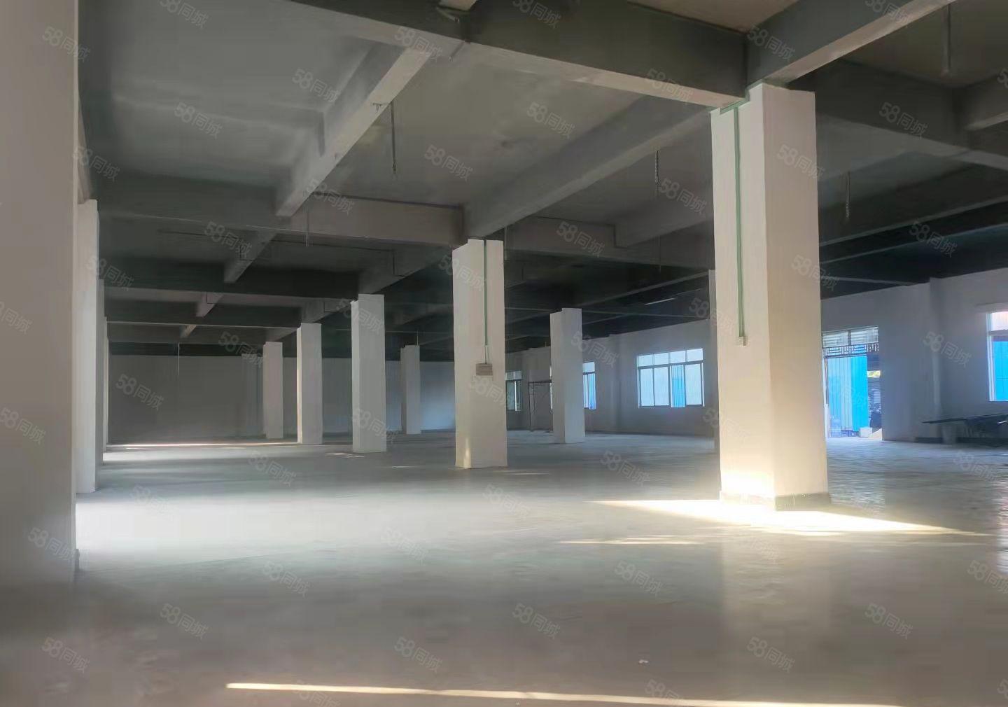 新出独门独户，低价格，交通方便