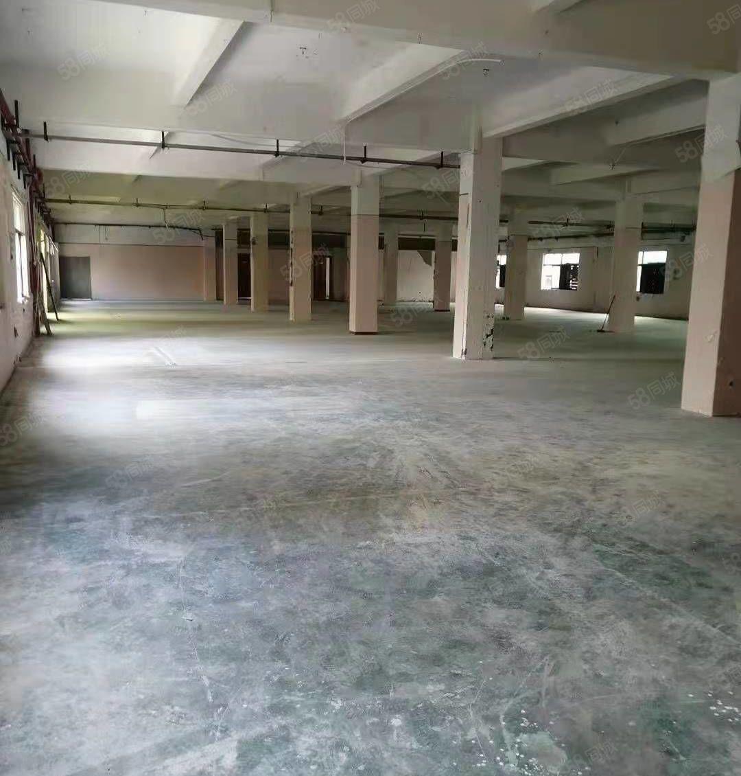 沙田标准厂房工业园招租，上市公司形象