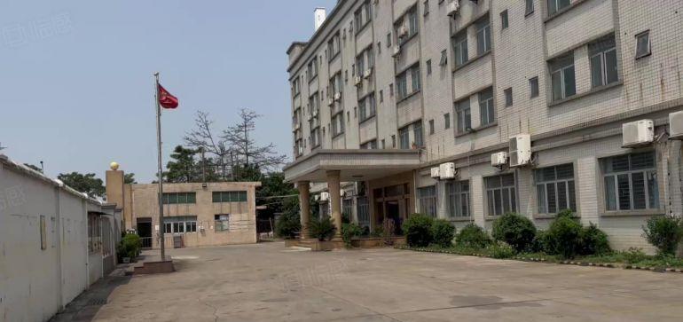 东莞沙田镇 单一层 滴水10米带行车带办公室，精装修厂房出租