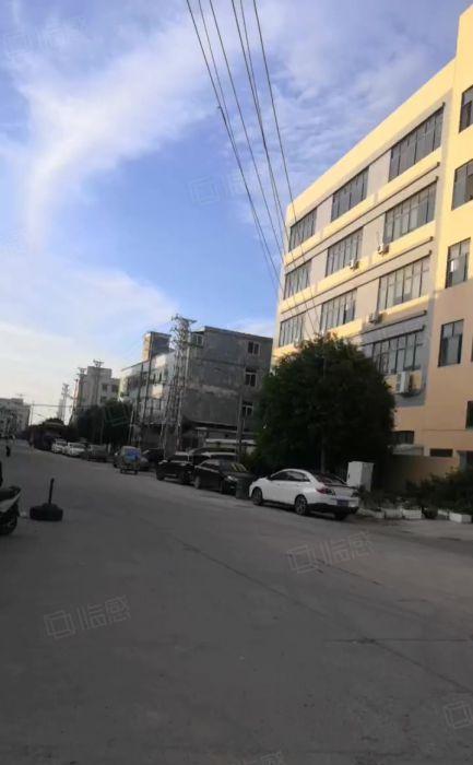 沙田厂房出租，一楼1100平方四楼2300平方