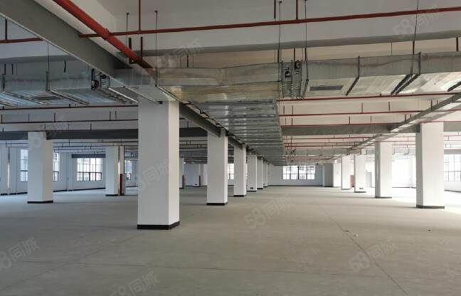 原房东独院标准厂房出租15000平方带红本证件齐全