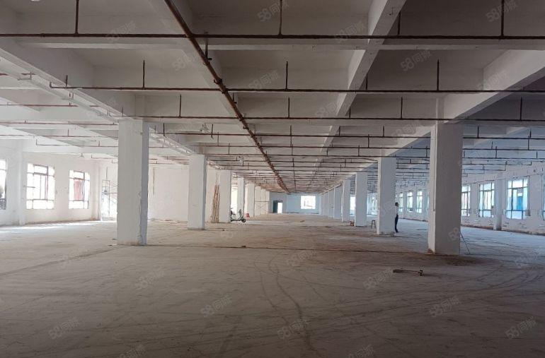 沙田厂房出租厂房总面积15800平方米500平方米起租