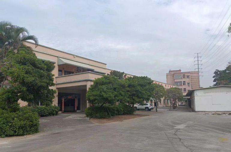 沙田镇港口大道边独门独院花园式7500方厂房，象价格便宜