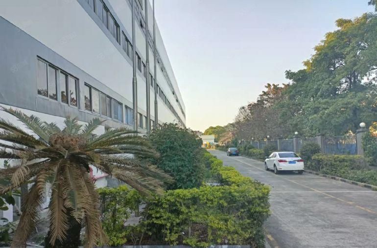 东莞市沙田镇沙田大道旁厂房1楼10660平出租，欢迎致电咨