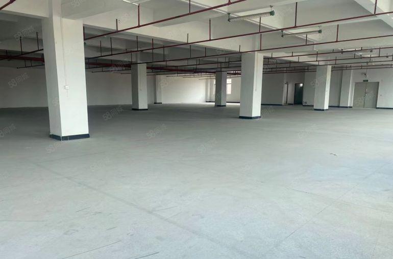 沙田镇本地佬新空出来独门独院三层厂房出租空地超大