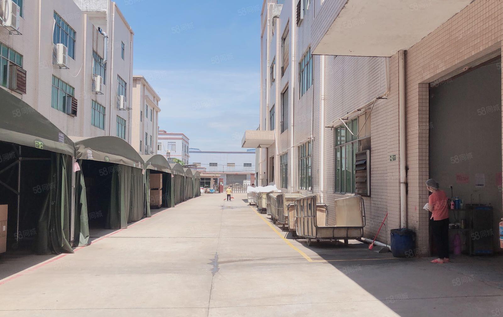 沙田新出国有红本独院厂房11000平方招租有10万级无尘车间