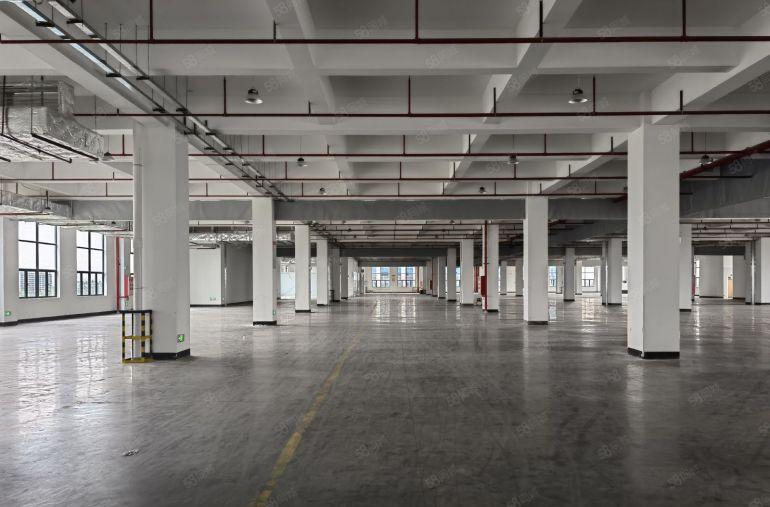 沙田原房东现成 行车 水电办公一楼9米高适合重型行业可分租