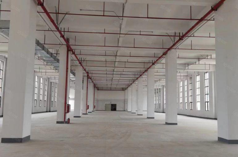 沙田镇原房东直租厂房约13万平方米，看厂房请联系阿福。